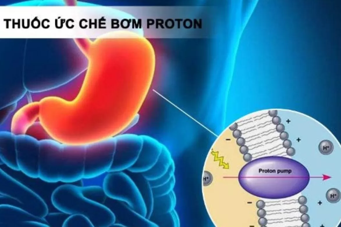 Máy lọc nước của Nước Sạch Cộng Đồng ứng dụng công nghệ tiên tiến Primer, mang đến nguồn uống nước ion kiềm tinh khiết, an toàn cho sức khỏe gia đình Việt.