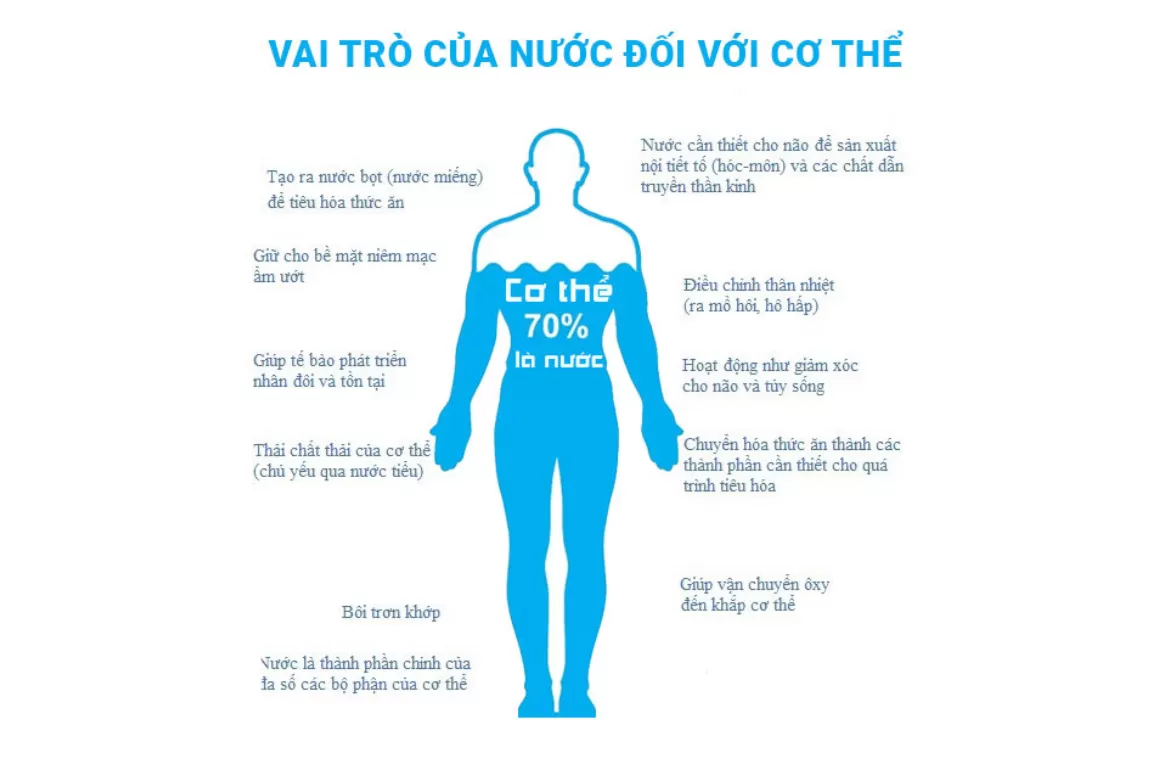 lượng nước cần thiết, uống nước, uống đủ nước, nước trong cơ thể